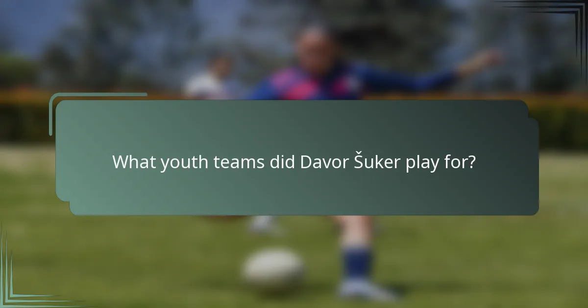 What youth teams did Davor Šuker play for?